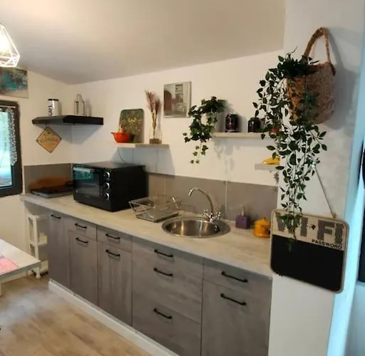 La Maison Autour Du Figuier *